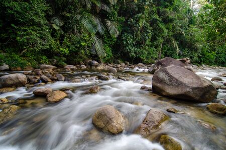 Slow motion water flow in the river at Sungai Sedim, Kedah.の写真素材
