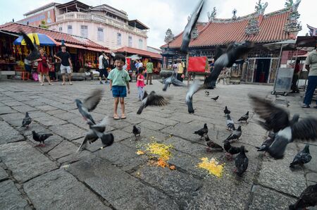 George Town, Penang/Malaysia - Aug 14 2016: A kid curious with flying pigeon at street.