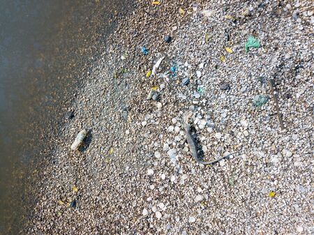 Aerial view monitor lizard searching food beside rubbish waste.の写真素材