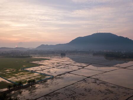 Aerial view paddy field in water season. Background is Cherok Tokkun hill.の写真素材