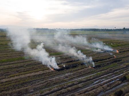 Aerial view open burning at paddy field.の写真素材