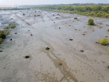 Withered land at wet land at Penang.の写真素材