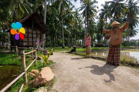 Decoration traditional Malay clothes scarecrow in coconut plantation at Kampung Agong, Penang.の写真素材