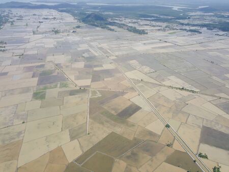 Aerial view look down paddy field in water season.の写真素材