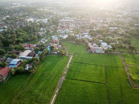Aerial view Malays village near paddy field in morning.の写真素材