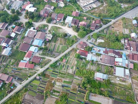 Vegetable field near rural area at Bukit Mertajam.の写真素材