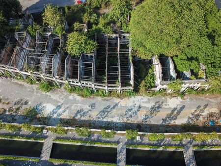 Sia Boey heritage house with grow of green plant.の写真素材