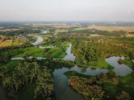 Green scenery in forest surrounded by paddy field.の写真素材