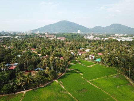 Drone view paddy field near Malays village.