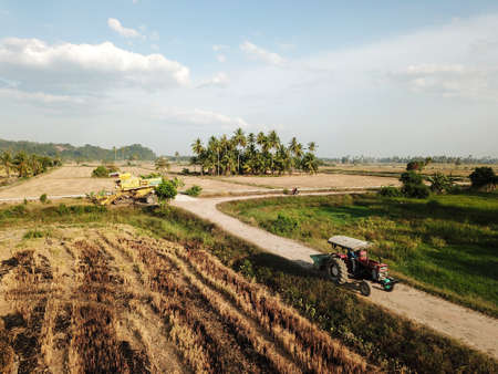 Pulau Ssyak, Kedah/Malaysia - Feb 26 2020: Tractor move at path in paddy field.Harvester park at background.のeditorial素材