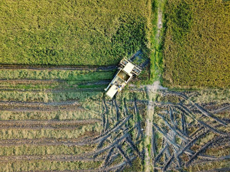Georgetown, Penang/Malaysia - Feb 29 2020: Harvester machine in paddy field.のeditorial素材
