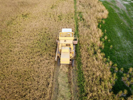 Bukit Merajam, Penang/Malaysia - Mar 02 2020: Top view harvester in paddy field.のeditorial素材