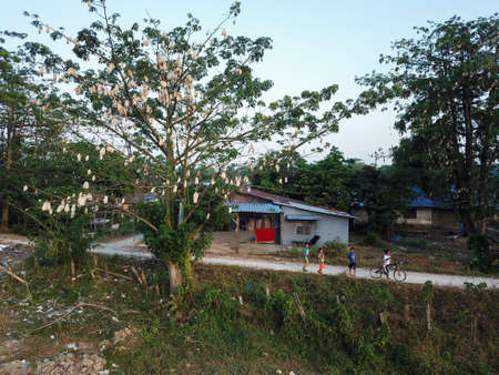 Seberang Perai, Penang/Malaysia - Mar 20 2020: Malays kid walk at the path near village.のeditorial素材