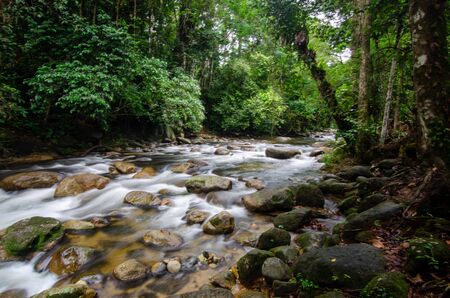 Water stream flow in forest Sungai Sedim, Kedah, Malaysia.の写真素材