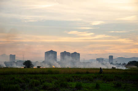 Bukit Mertajam, Penang/Malaysia - Mar 21 2018: A man walk at the paddy field with open burning.