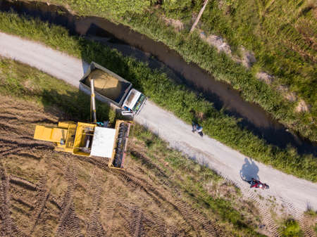 Bukit Mertajam, Penang/Malaysia - Apr 19 2019: Harvester transfer rice into truck.のeditorial素材