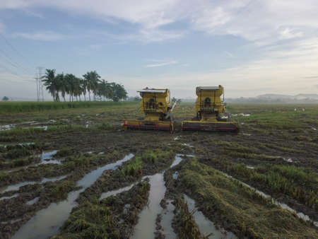 Bukit Mertajam, Penang/Malaysia - Oct 27 2019: Harvester park at paddy field in morning.のeditorial素材