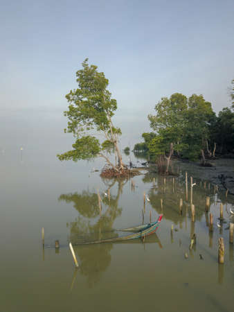 Reflection abandoned shipwreck beside mangrove tree at Penang.の写真素材