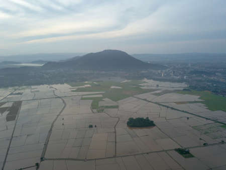 Aerial view watering season of paddy field.