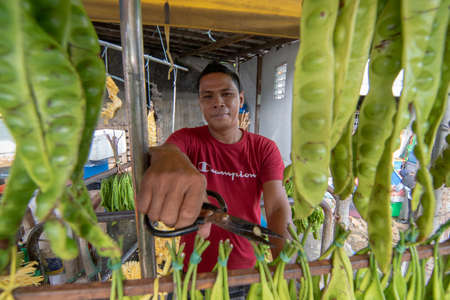 Bukit Mertajam, Penang/Malaysia - Jun 04 2019: Petai seller prepare the vegetable at morning market.のeditorial素材