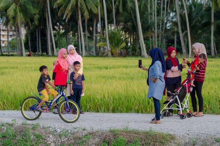 Bukit Mertajam, Penang/Malaysia - Aug 01 2020: Local Malays take photos at paddy field.のeditorial素材
