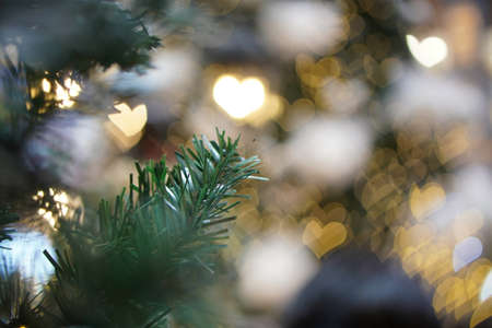Close up the Christmas leaves with love bokeh background. Christmas, winter holiday conceptの写真素材