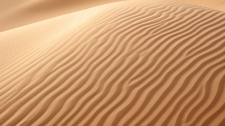 A closeup of a rippling sand dune textureの素材