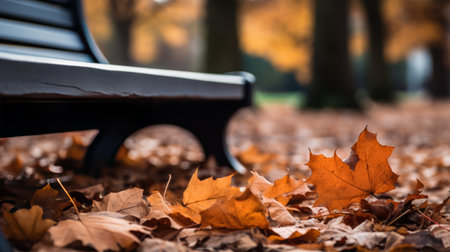 Fallen leaves on a park benchの素材