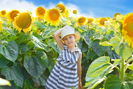 Beautiful little girl enjoying nature. Happy smiling female kid standing in sunflowers fieldの写真素材
