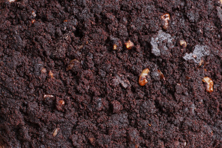 Top view of round baked chocolate cake.Chocolate sponge cake texture.Delicious vegan super chocolate cake.の写真素材
