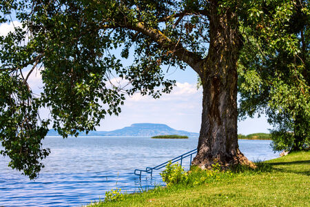Lake Balaton and tree in summer in Hungaryの写真素材