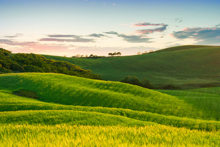 Beautiful Tuscany landscape near Siena, Italyの写真素材