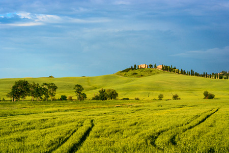 Beautiful Tuscany landscape near Siena, Italyの写真素材