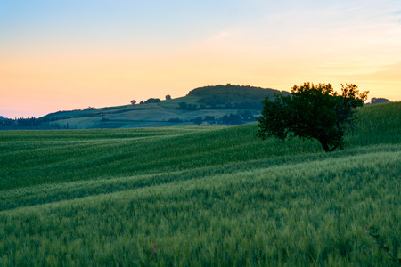 Beautiful summer landscape in Tuscany, Italy.の写真素材