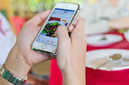 Close up female hands holding the phone 