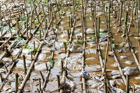 Check Dam.の写真素材