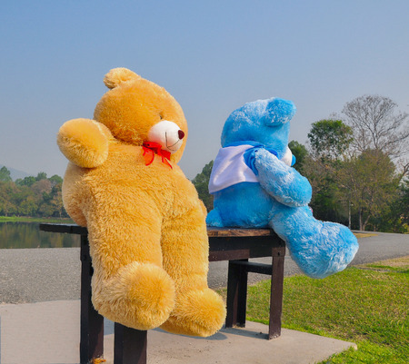 big teddy bears  sitting on wood chair blue sky backgroundの写真素材