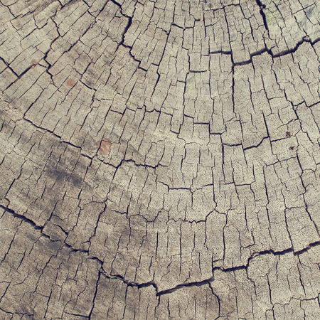 retro wood backgroundの写真素材