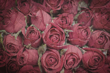 rose flower bouquet with wood background bad love concept