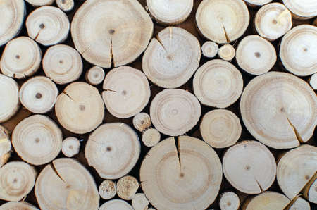wood background seamlessの写真素材