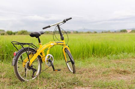 yellow bicycle in green filedの写真素材