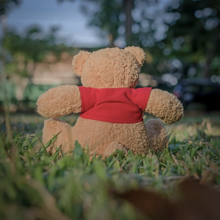 Teddy Bear sitting on green grass - vintage toneの写真素材