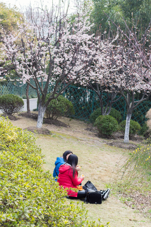 SHANGHAI, CHINA - MARCH 14, 2016 - Many Chinese in "Blooming The New Jingan"  XinHu's Tulip Flower Expo in 2016のeditorial素材