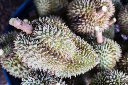 durian Thai fruit, Durian in local fruit market Thailand.