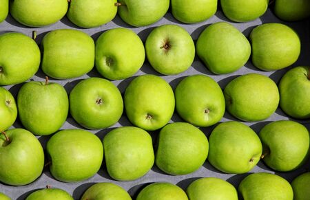 Bunch of fresh green apples sold on marketの写真素材