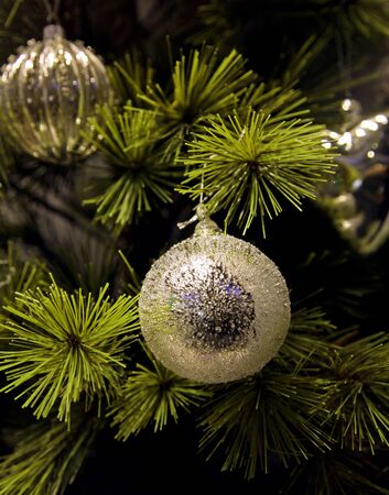 Detail of Christmas tree with silver ornamentsの写真素材