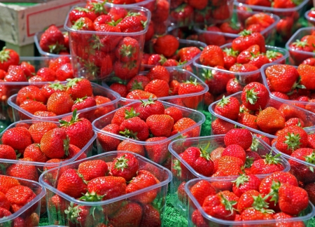 Fresh organic strawberries packed in plastic cupsの写真素材