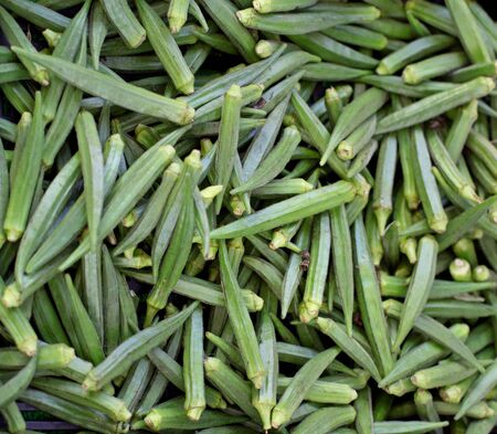 Big pile of traditional Malaysian vegetable okra