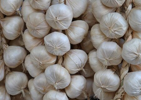 Natural organic garlic sold on market in chainsの写真素材