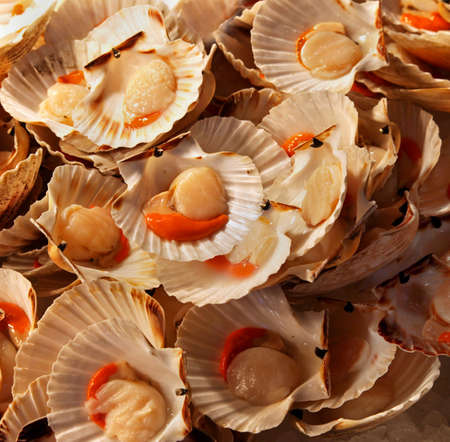 Big pile of fresh scallops sold on marketの写真素材